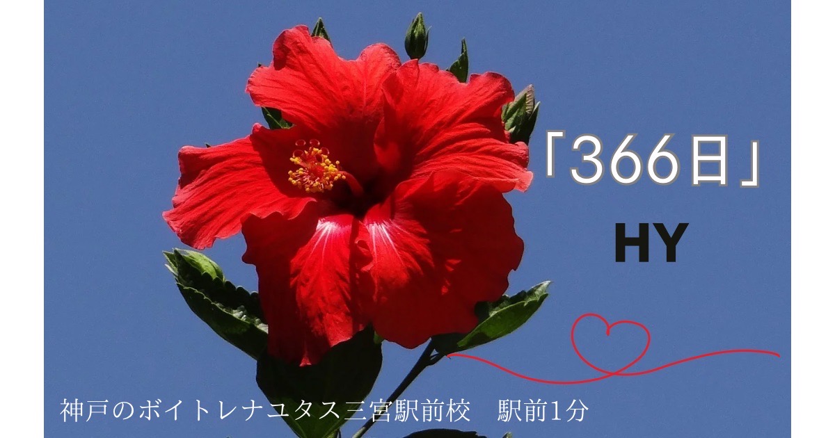 ドラマ主題歌、HY「366日」の歌詞の意味考察と歌い方解説！[神戸のボイトレ教室]ナユタス三宮駅前校