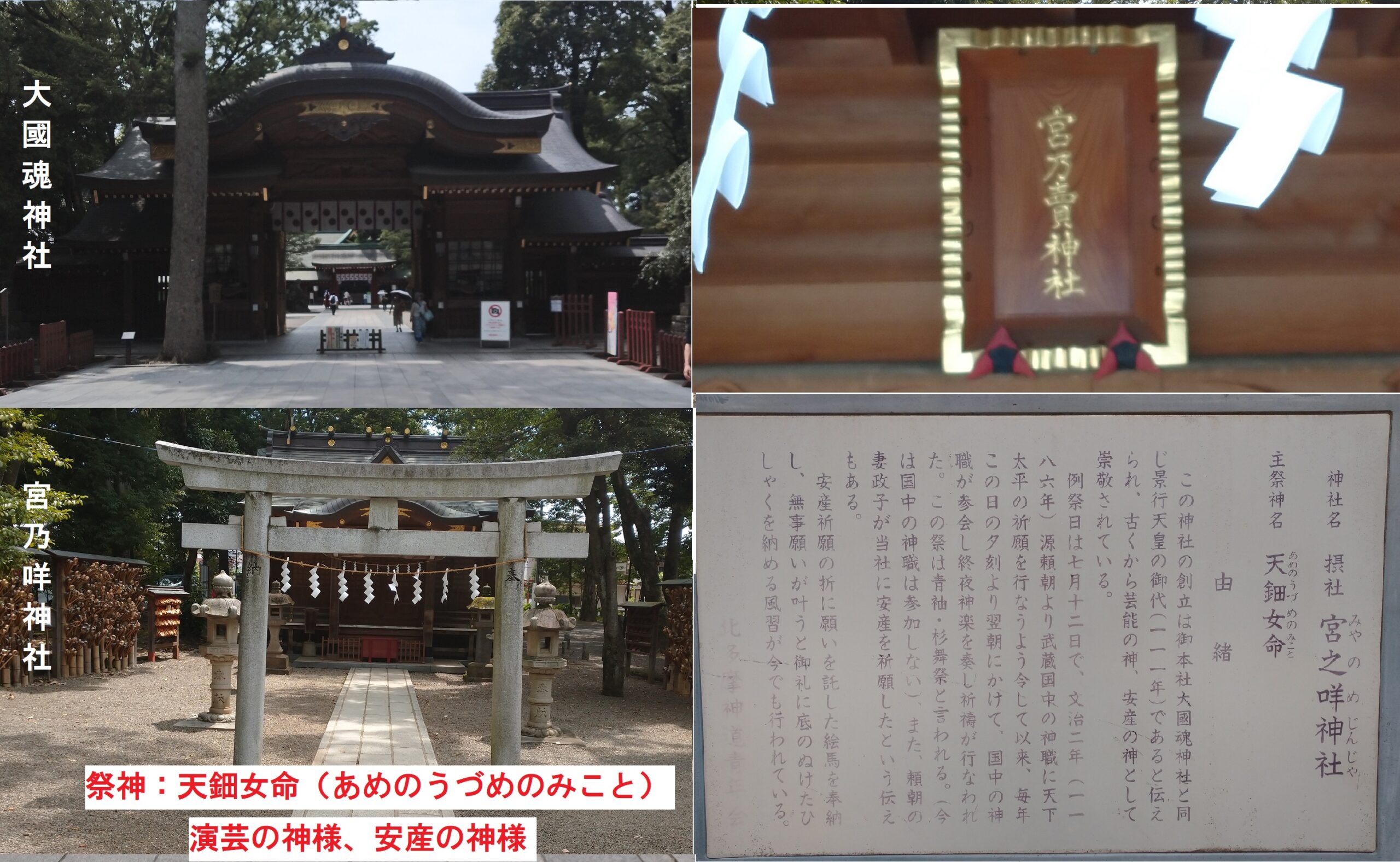 大國魂神社宮乃咩神社