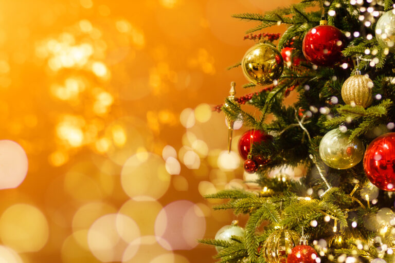 クリスマス直前！