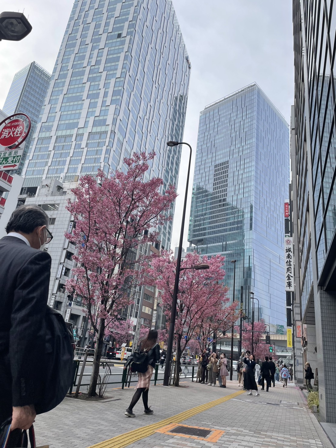 渋谷の桜🌸