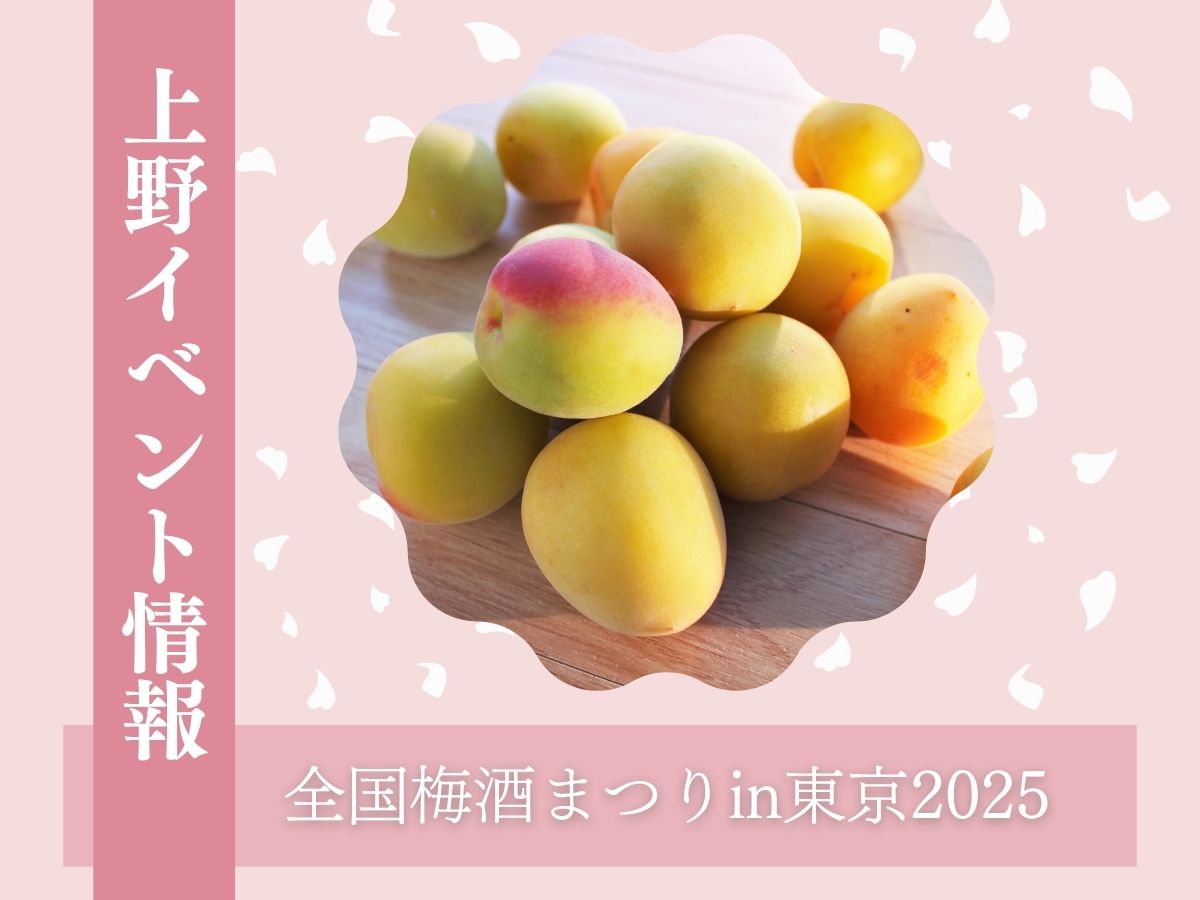 【上野イベント情報】上野恩賜公園で開催！全国梅酒まつりin東京2025｜6月5日〜8日まで🌟｜NAYUTAS上野校