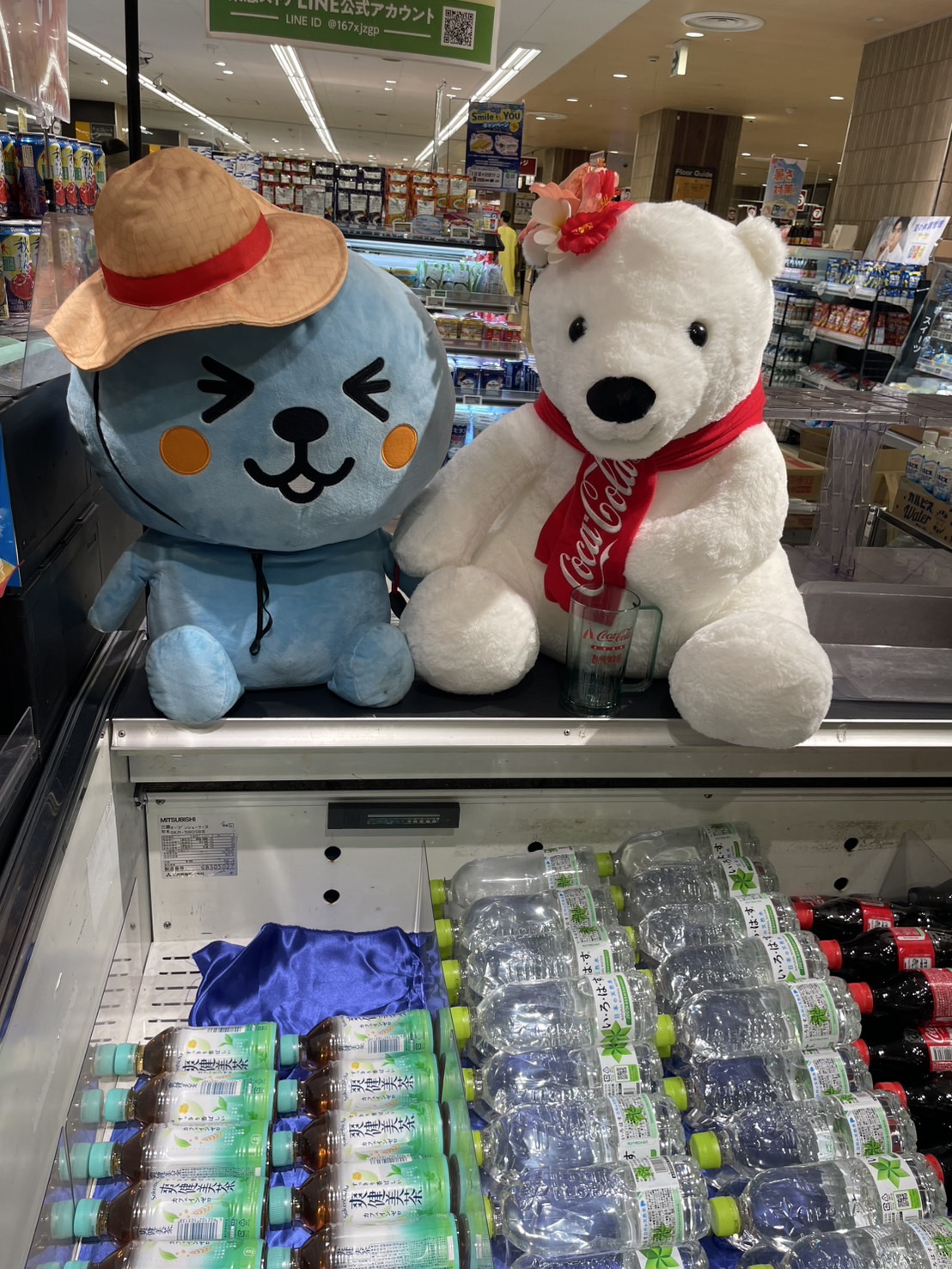 暑いですね。