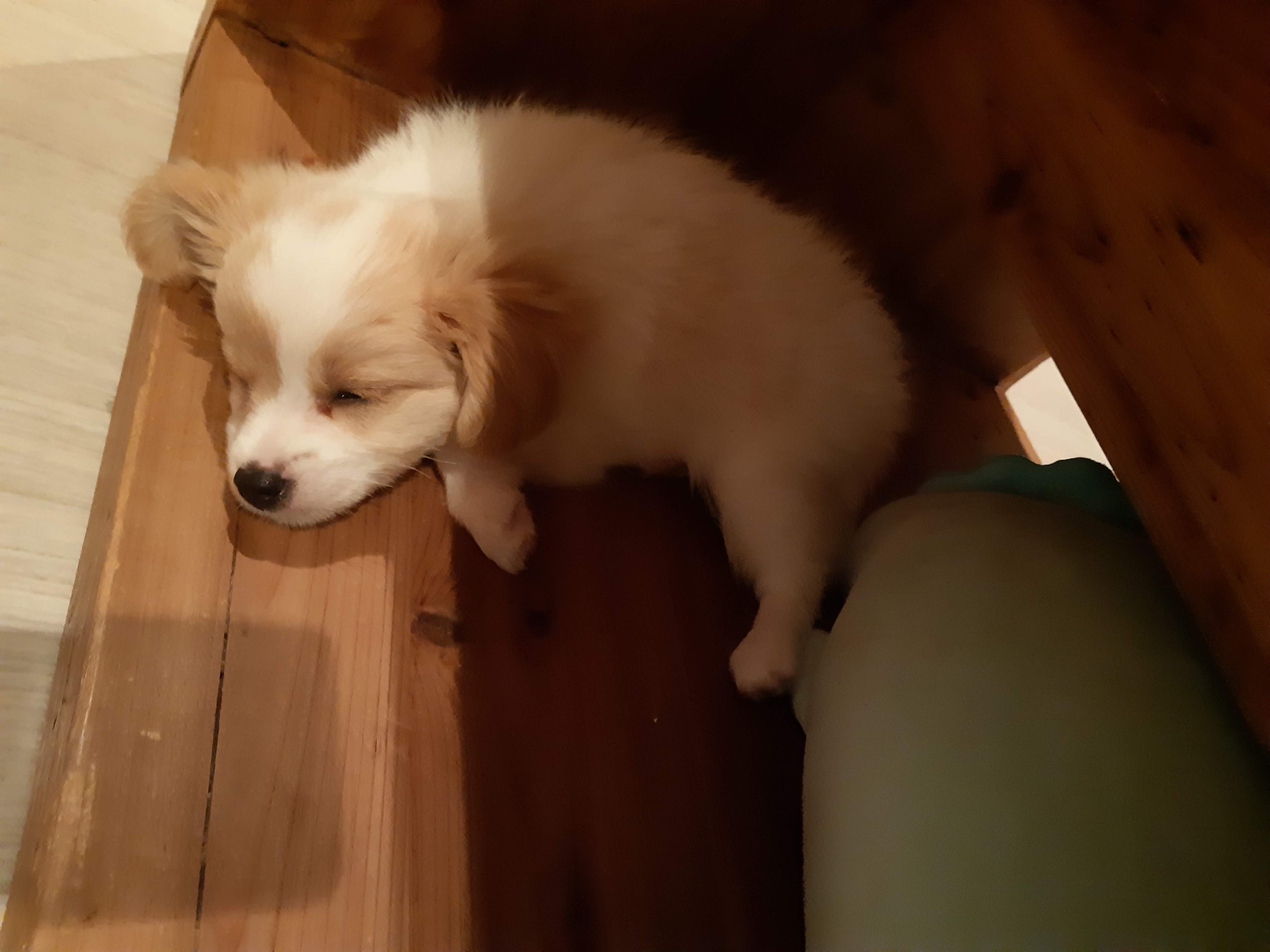 歌唱中の脱力について