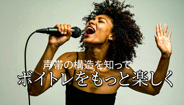 ボイトレがもっと楽しくなる！ 声帯の構造とは？