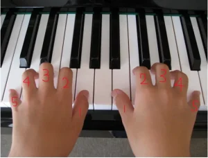 ピアノの鍵盤に乗せた両手に指番号を振った画像