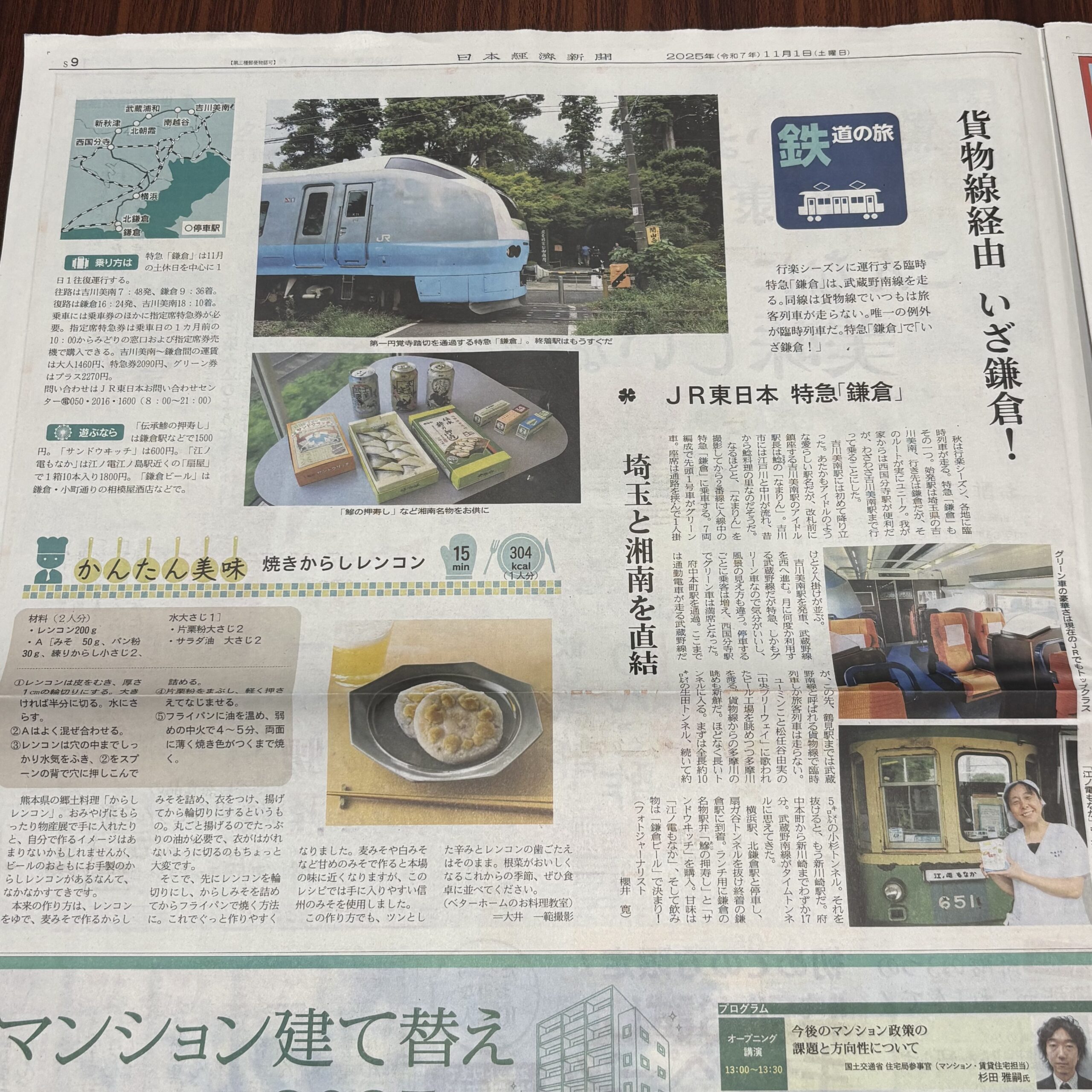 行楽シーズンにのみ運行される臨時特急「鎌倉」【埼玉ボイトレならナユタス川口校】
