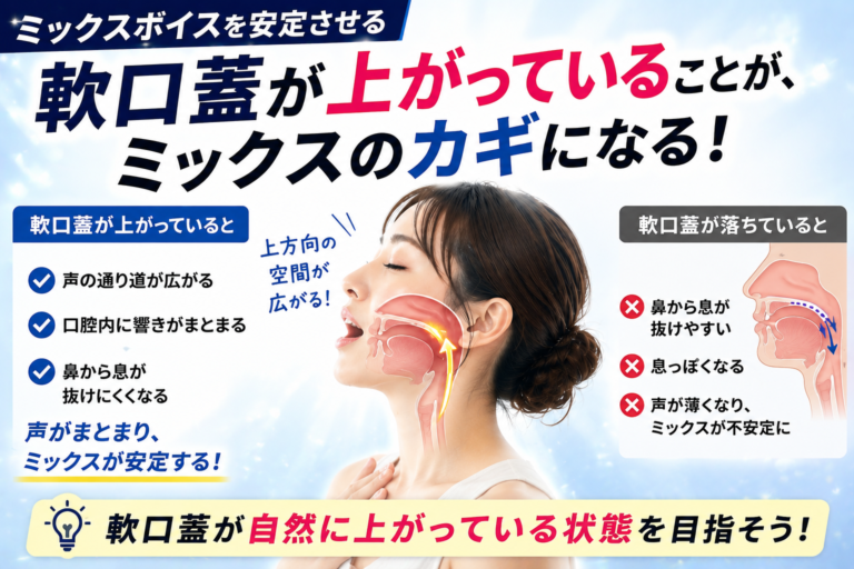 ミックスボイスと軟口蓋。声を安定させる「上方向の空間」 - NAYUTAS水戸校(助川)