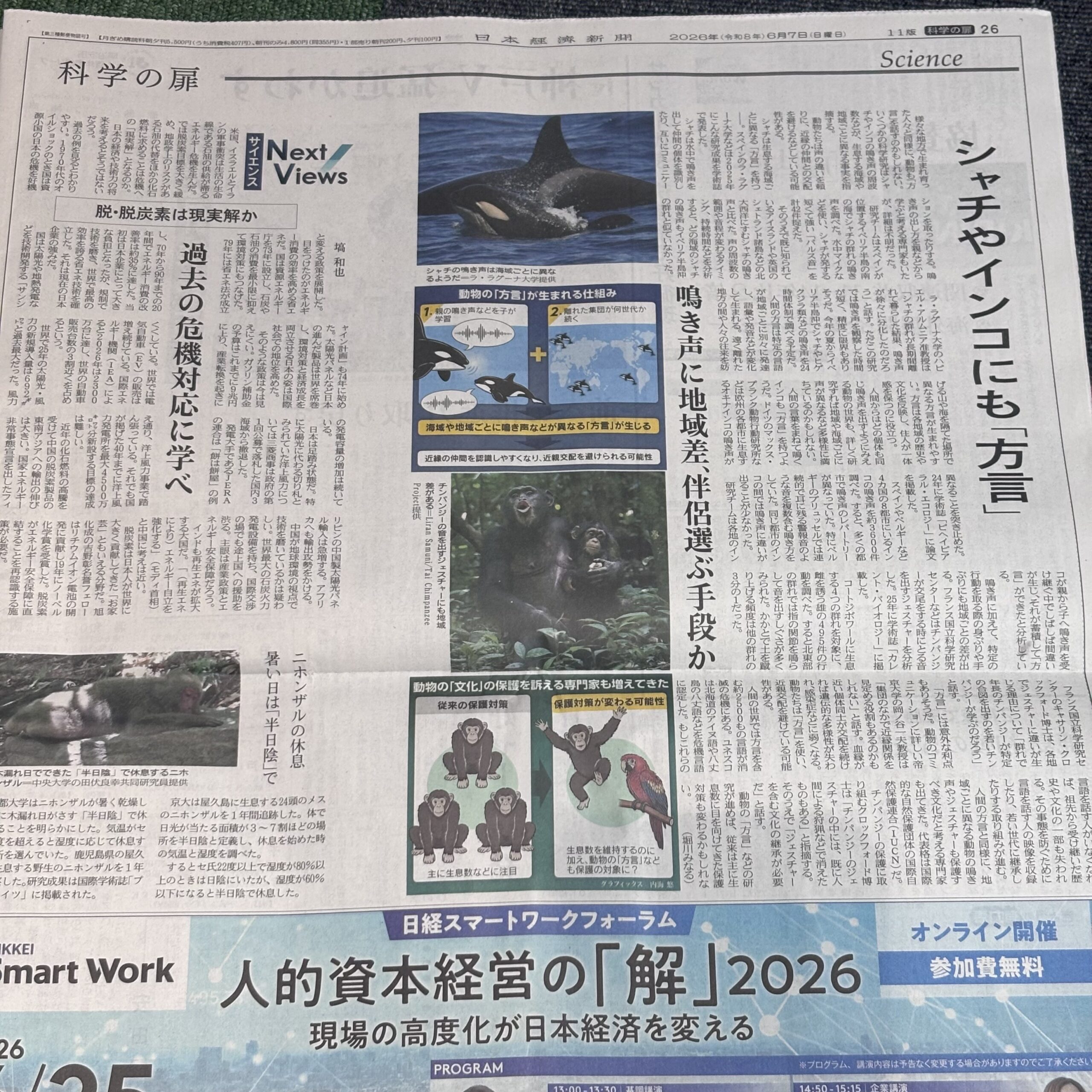シャチやインコにも「方言」【埼玉のボイストレーニングスクール・ナユタス川口校】