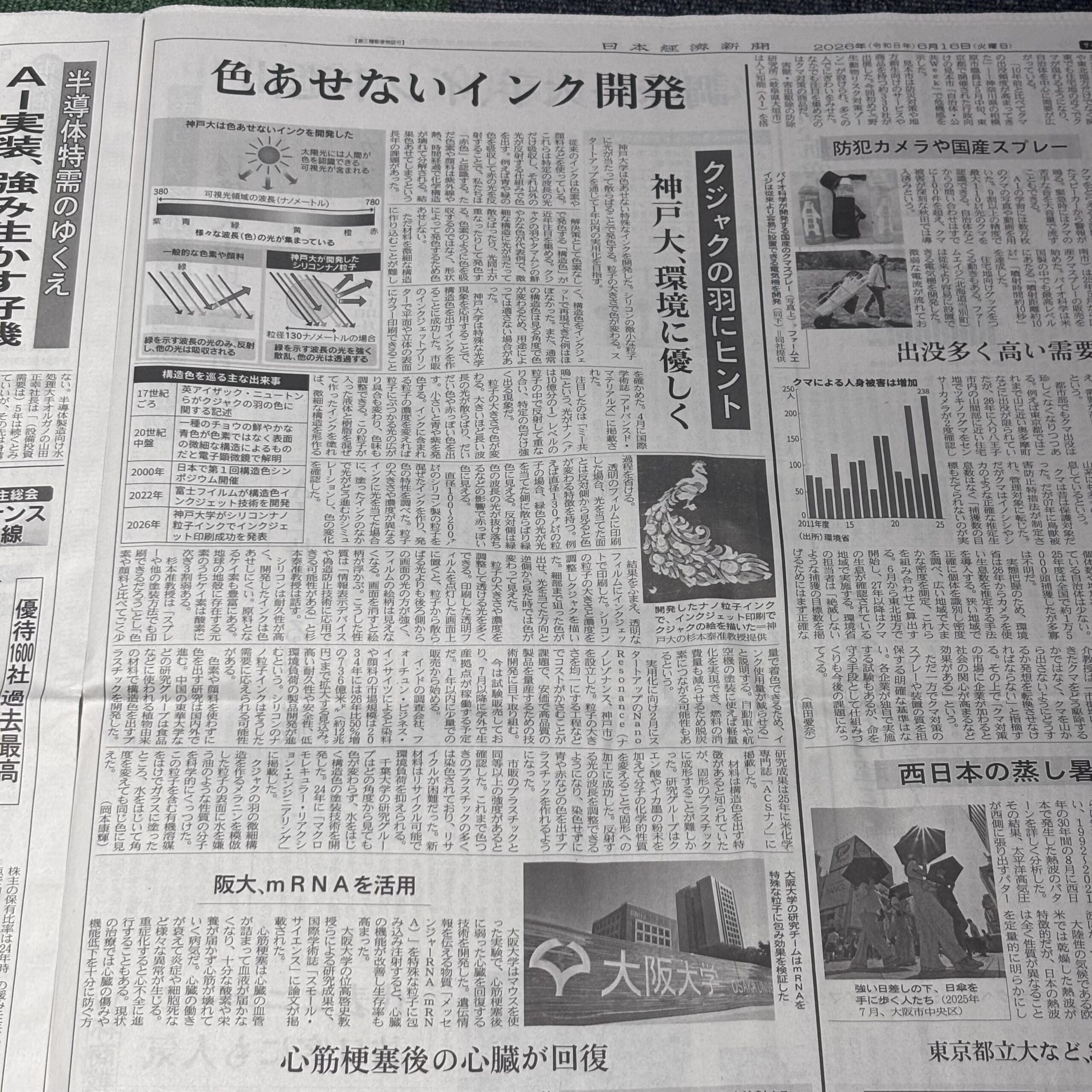 色あせないインク開発、クジャクの羽【埼玉ボイトレスクール・ナユタス川口校】