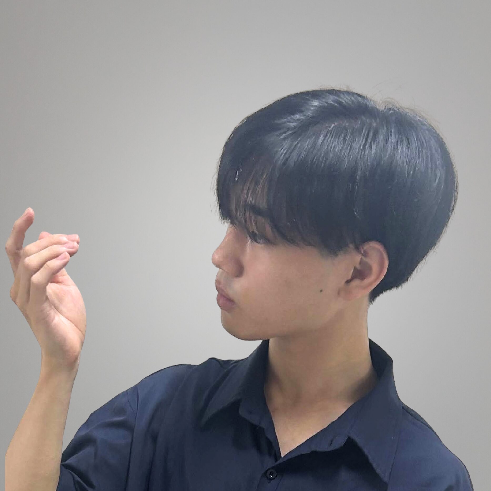 kiku